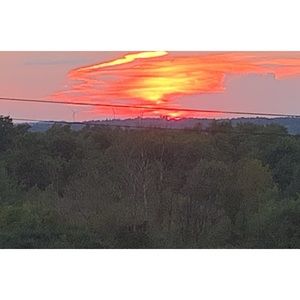 Meet your Posher, Sophia